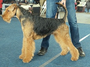 leo Kassel1